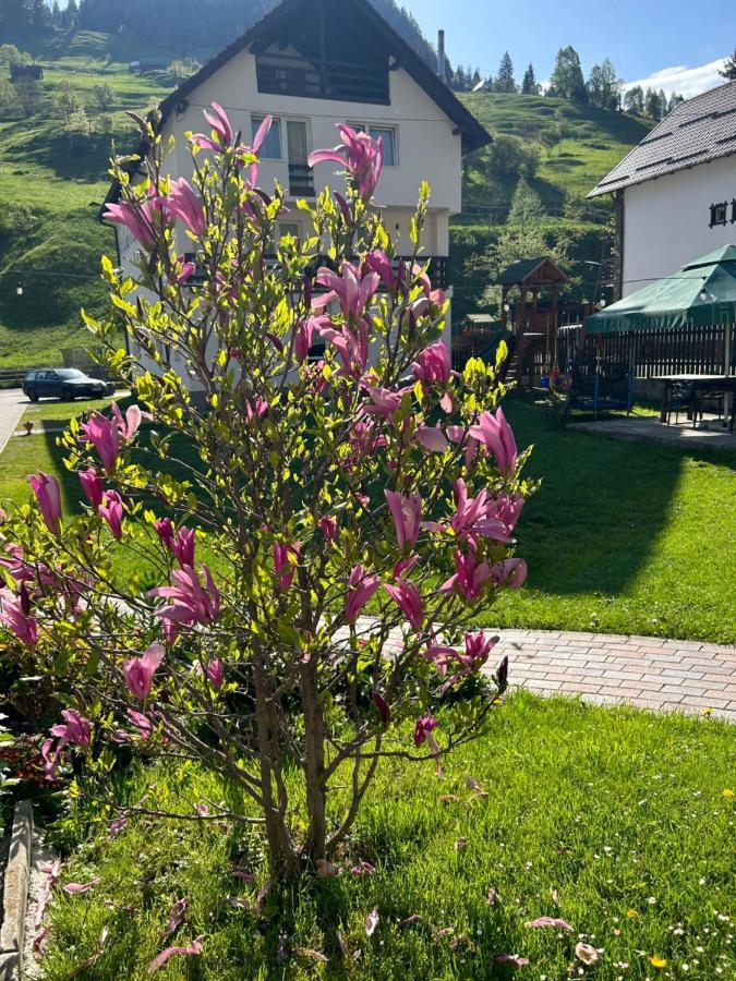 Hotel Casa Mia Moeciu De Sus Zewnętrze zdjęcie