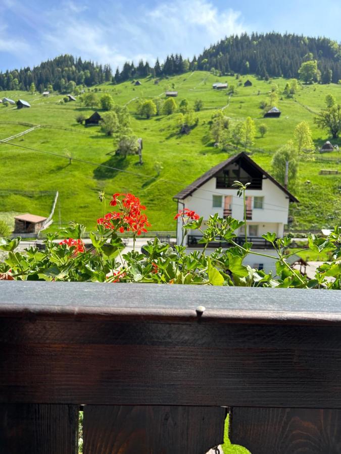Hotel Casa Mia Moeciu De Sus Zewnętrze zdjęcie