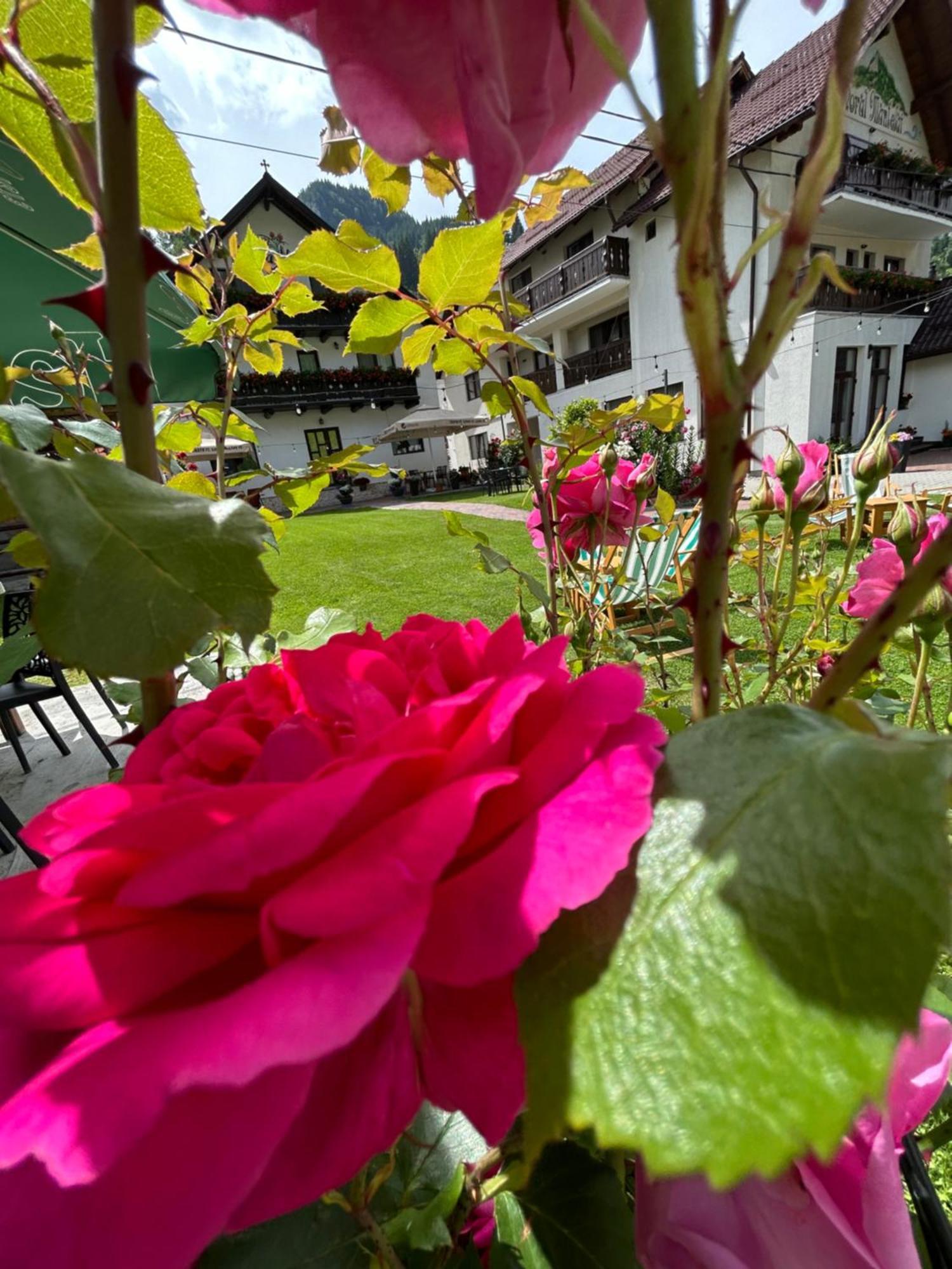 Hotel Casa Mia Moeciu De Sus Zewnętrze zdjęcie