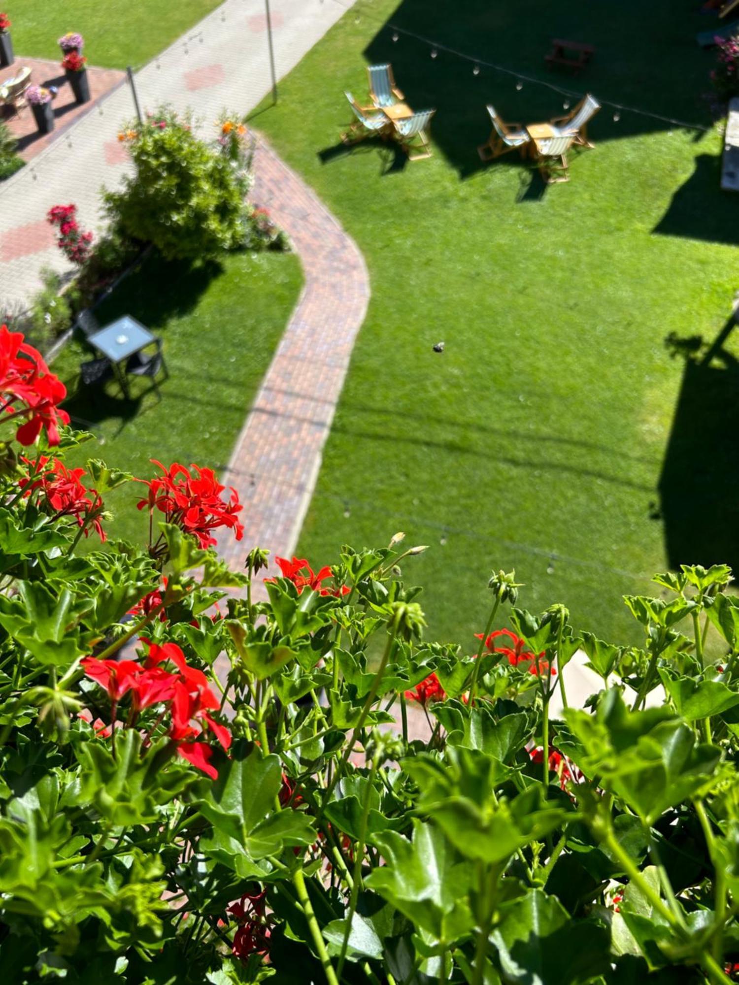 Hotel Casa Mia Moeciu De Sus Zewnętrze zdjęcie