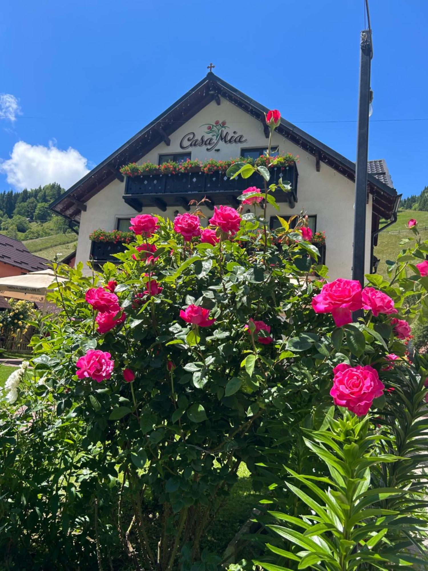 Hotel Casa Mia Moeciu De Sus Zewnętrze zdjęcie