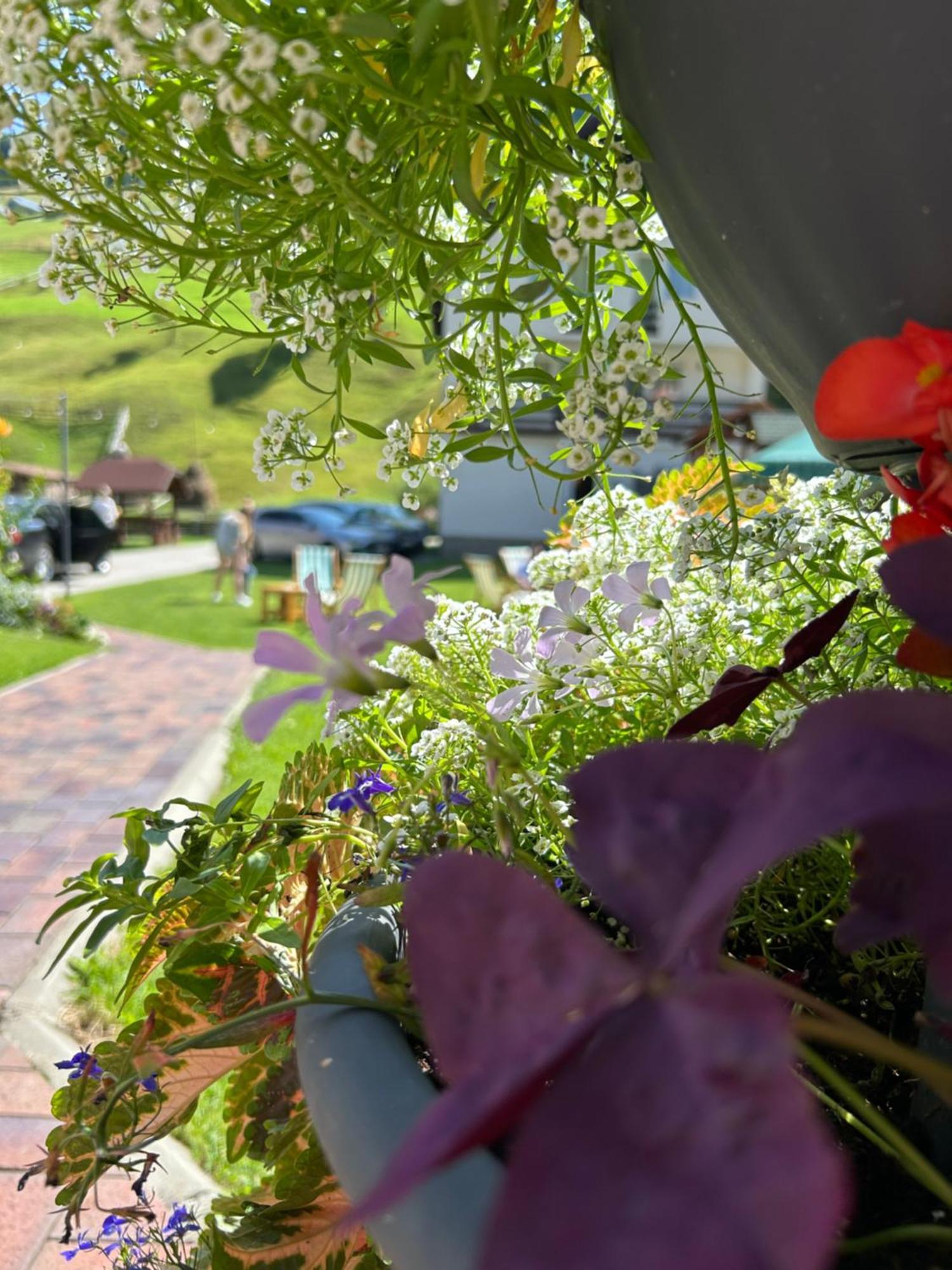 Hotel Casa Mia Moeciu De Sus Zewnętrze zdjęcie