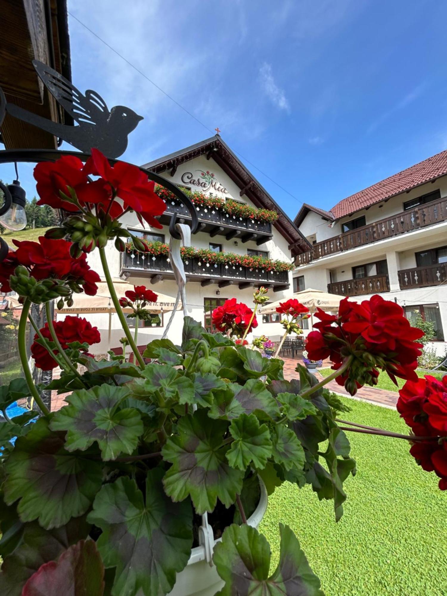 Hotel Casa Mia Moeciu De Sus Zewnętrze zdjęcie