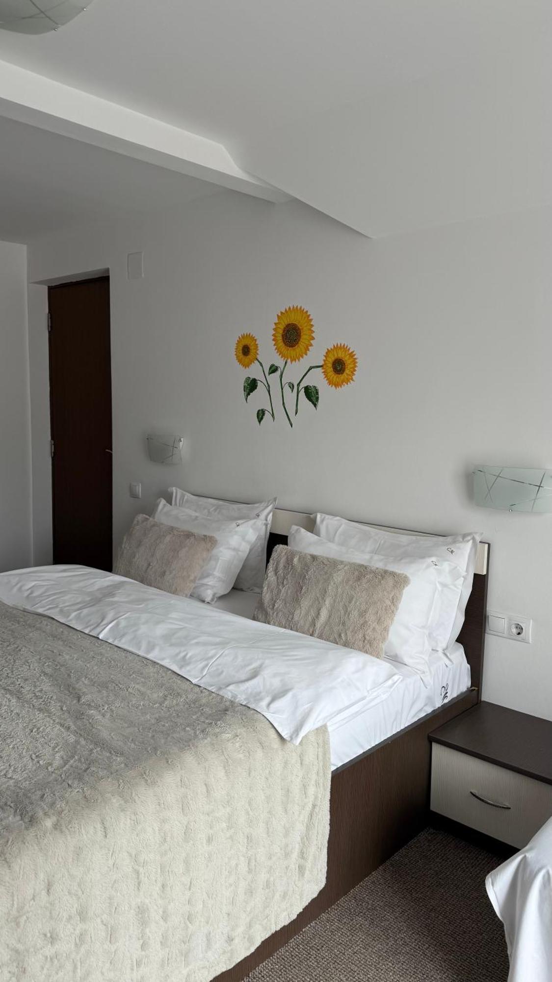 Hotel Casa Mia Moeciu De Sus Zewnętrze zdjęcie